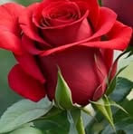 Maria Espinel - Facebook