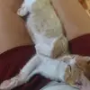 Mariaesquerdo6 - @mariaesquerdo6 - TikTok