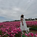 Maria Fernanda Falconer - @marifer.3.6 - Instagram