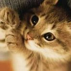 Maria Faris - Facebook