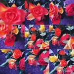 Maria Bint Mehmood Farooqi - @maria_bint_mehmood_farooqi - Instagram