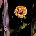 Maria Hasan Farooqi - @mariafarooqi02 - Instagram