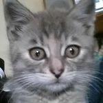 Maria Farris - @maria.farris.7731 - Instagram