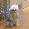 mariafarris895 - @mariafarris895 - TikTok
