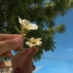 Maria Fátima - @vitoria_maria_7890 - Instagram