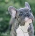 Maria Fatima - Facebook