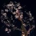 Maria fatima - Facebook