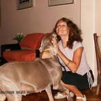 Maria Clara Borges Feigenbaum - Facebook