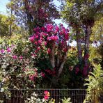 Maria Feil - Facebook