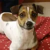 Marianna Ferrantelli - @mariannaferrantelli - TikTok