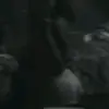 maria - @mariaferrera6 - TikTok