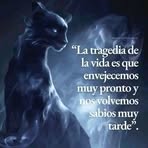 Maria Finol - Facebook