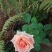 Maria Fleury - Facebook