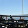 Maria_Fleury - @maria_fleury - TikTok