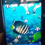 Maria Florio - @maria.florio.5815 - Instagram