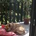 Maria Florio - Facebook