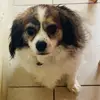 Maria Foley - @mariafoley0 - TikTok