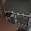 Eva Maria Freund - @eva.maria.freund - TikTok