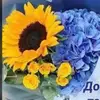 maria1589 - @mariafreund1589 - TikTok