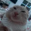 mariagade26 - @mariagade26 - TikTok