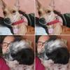 mariangaiser - @mariangaiser - TikTok