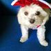 Maria Galetta - Facebook