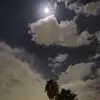MaríaGandara - @maragandara7 - TikTok