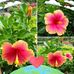 Maria Gatica - Facebook