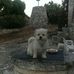 Maria Geier - Facebook
