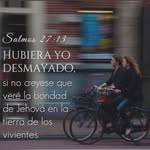 Maria Geraldina Geier - @mariageier - Instagram