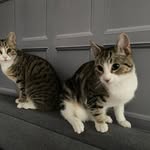 Maria Geraghty - @geraghty751 - Instagram