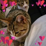 Maria Geraghty - @anjelica6226 - Instagram