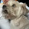 Maria Gerardo - @maria.gerardo6 - TikTok