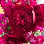 Maria Gerdes - @mari.at64 - Instagram
