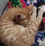 Maria Giles - Facebook