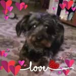Maria Glidden - @grammie820 - Instagram
