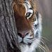 Maria Granger - Facebook