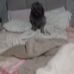 Mariah Gully - Facebook
