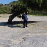 Maria Guzzo - @maria.guzzo.560 - Instagram