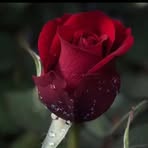 Maria Hack - Facebook