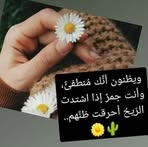 Maria Alhalabi - Facebook