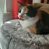 Maria Hamann - @mariahamann23 - TikTok