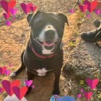 Maria Hamblin - Facebook