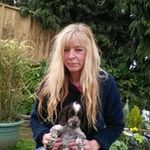 Maria Hare - @harestables59 - Instagram