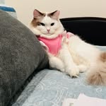 Maria has an - @mariahasan05 - Instagram