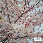 まりあ - @maria_hashimoto - Instagram