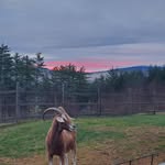 Marina Hedgepeth - @marina.hedgepeth - Instagram