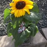 Maria Heibert - @heibertmaria - Instagram