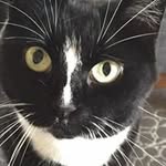 Anne Maria Hellman - @annemariahellman - Instagram
