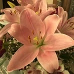Maria Hendren - Facebook